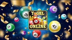 Top Togel Platforms Compared – Which Site Offers Higher Payouts?