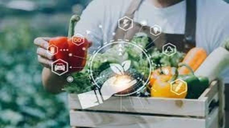 Food Safety Consultancy: Protecting Consumers and Strengthening Your Brand